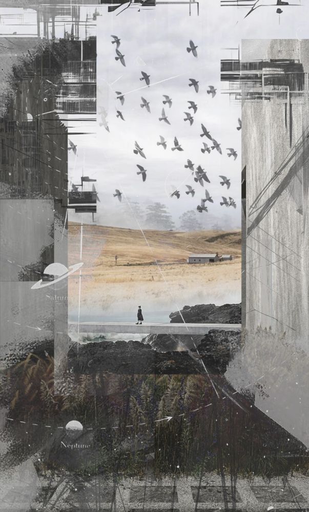 Digital collage of birds over a field with a lone walker