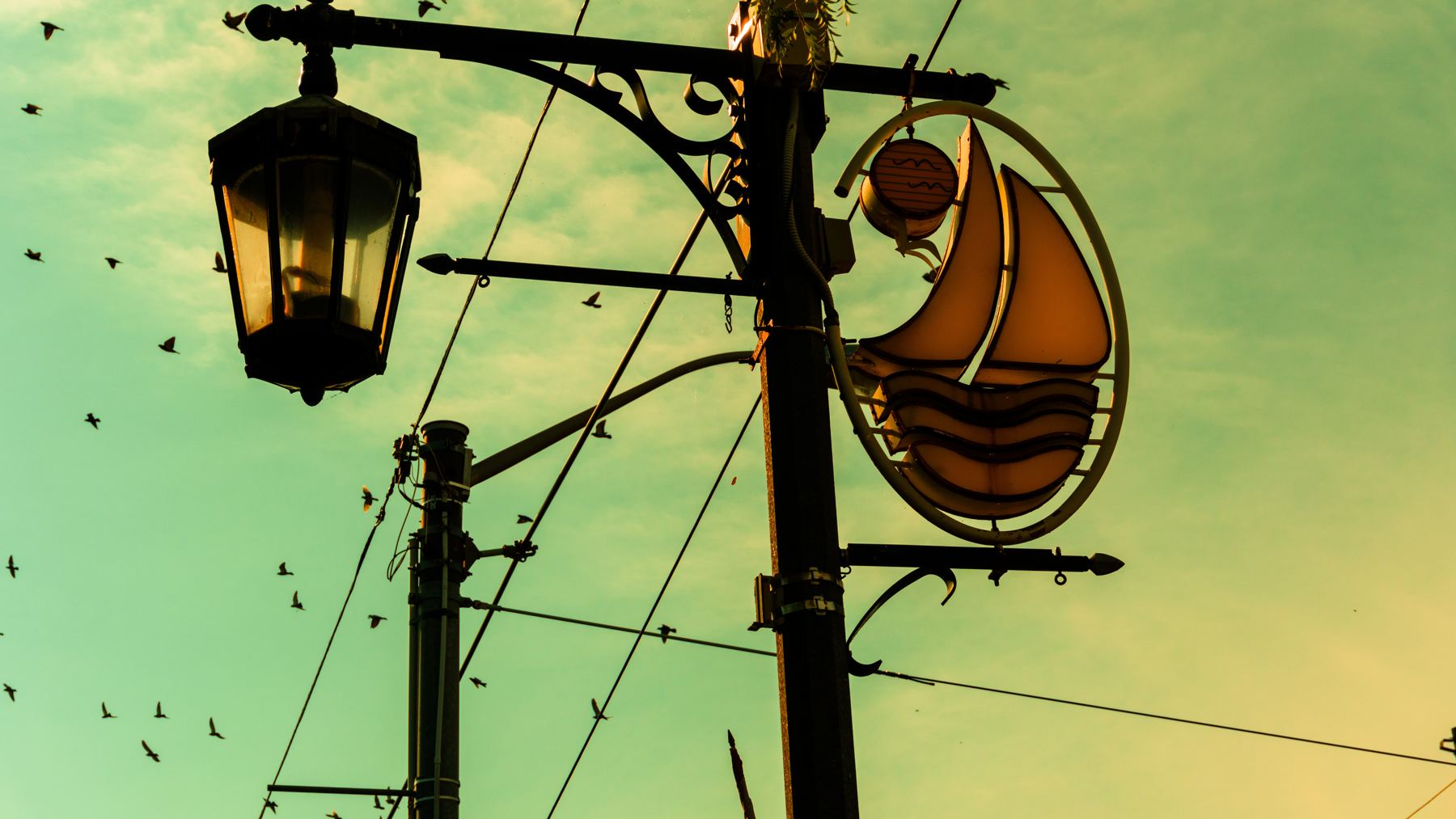 Toronto street lamp and a ship-shaped sign against a lime evening sky with birds