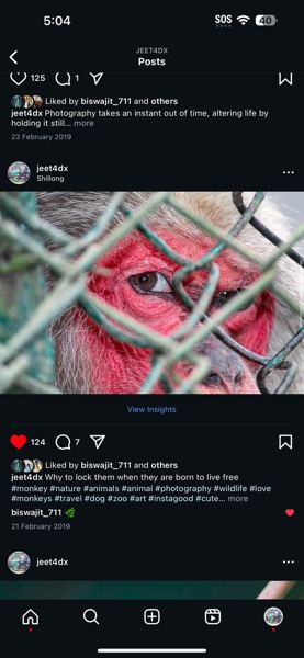 Instagram post of a close-up through a fence
