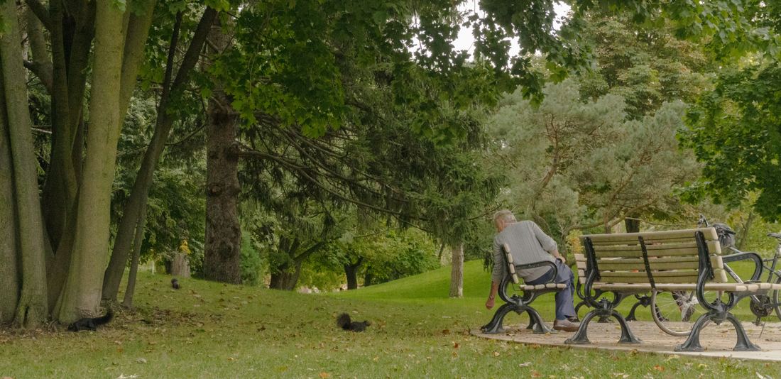 A man alone on a park bench under trees
